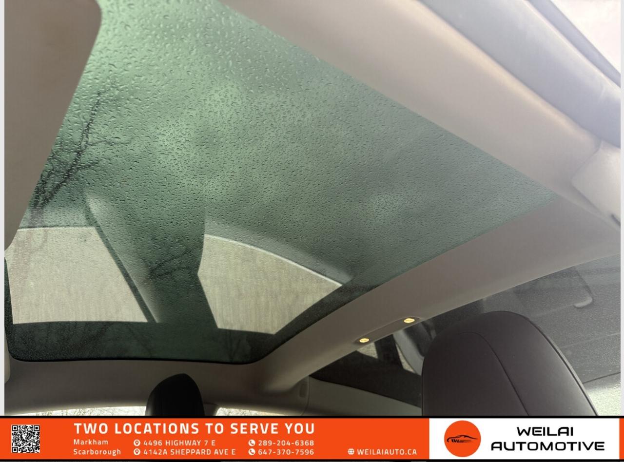 2019 Tesla Model 3 Standard Range Plus/No Accident/One Owner! Photo