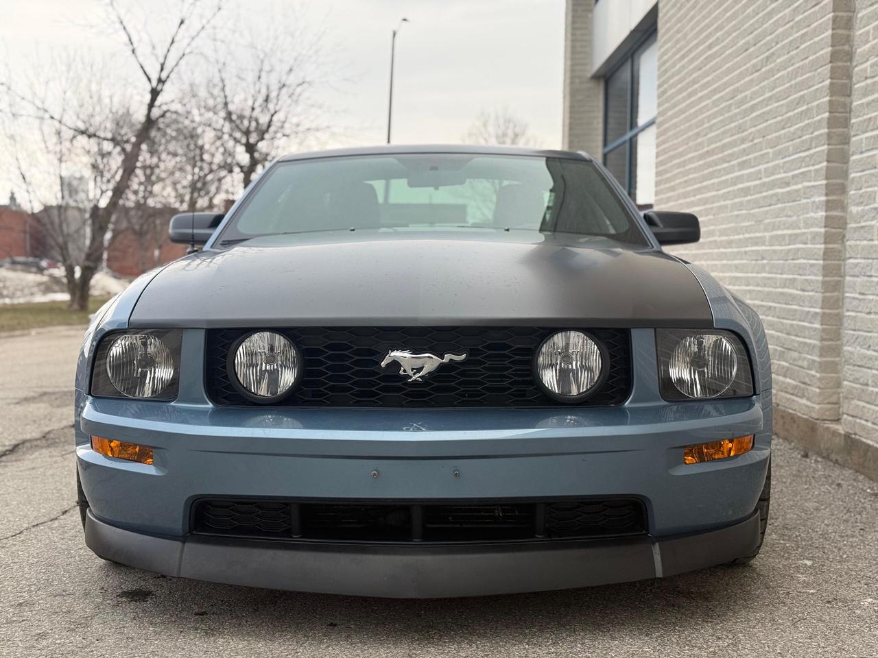 2005 Ford Mustang GT Photo