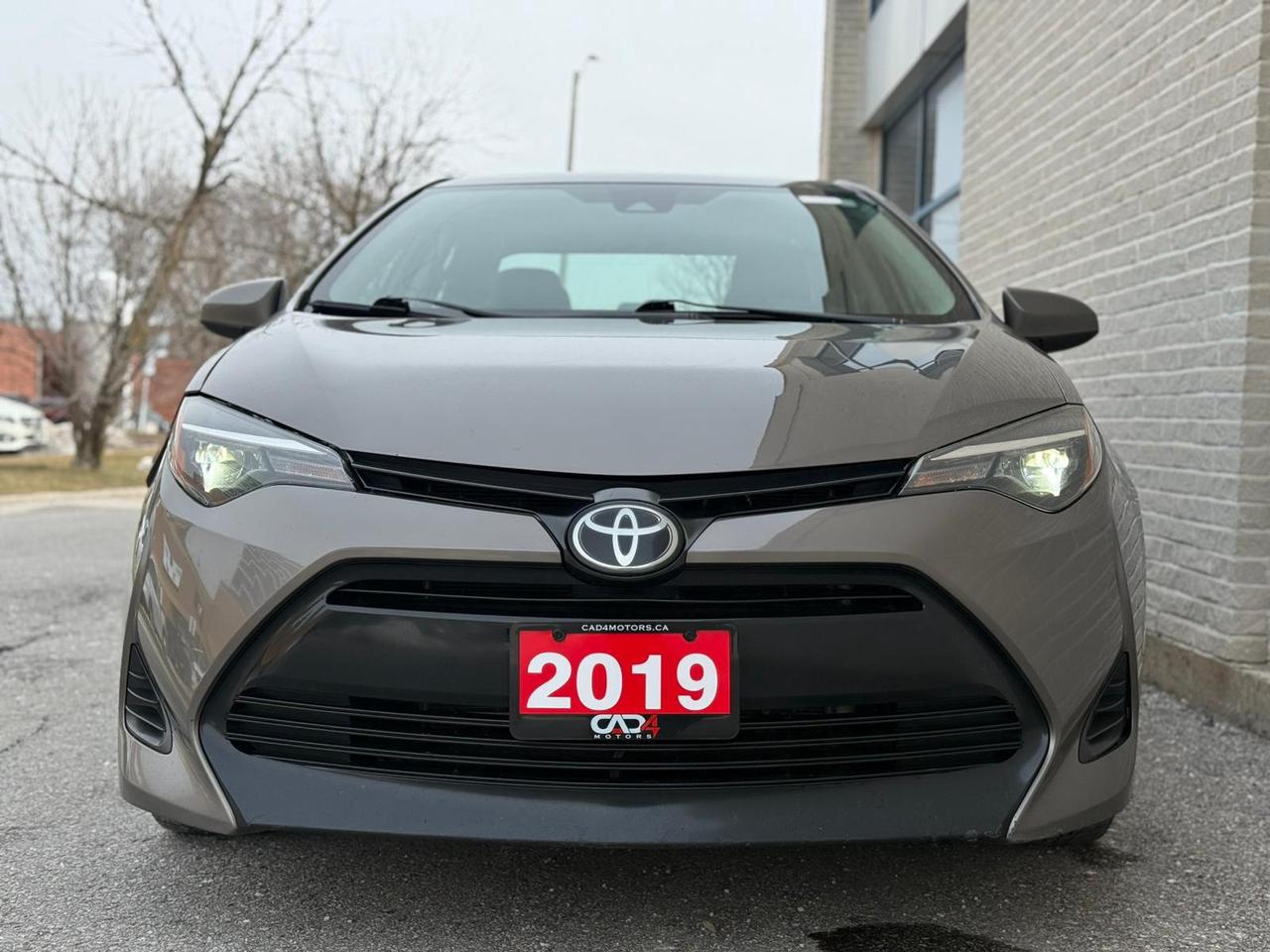 2019 Toyota Corolla LE Photo