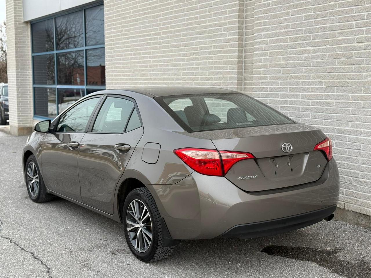 2019 Toyota Corolla LE Photo3