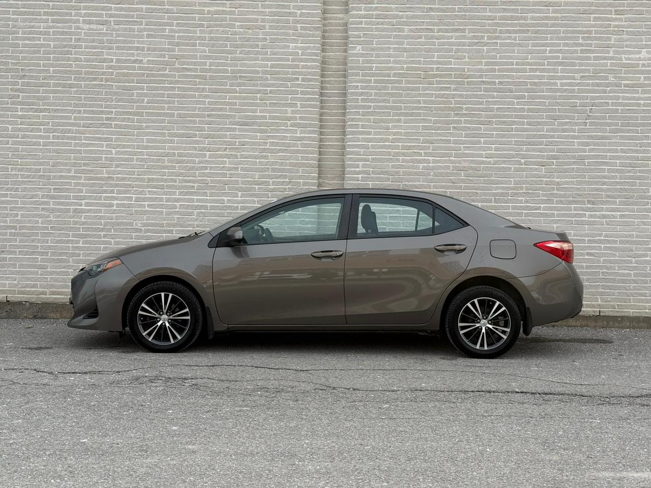 2019 Toyota Corolla LE Photo