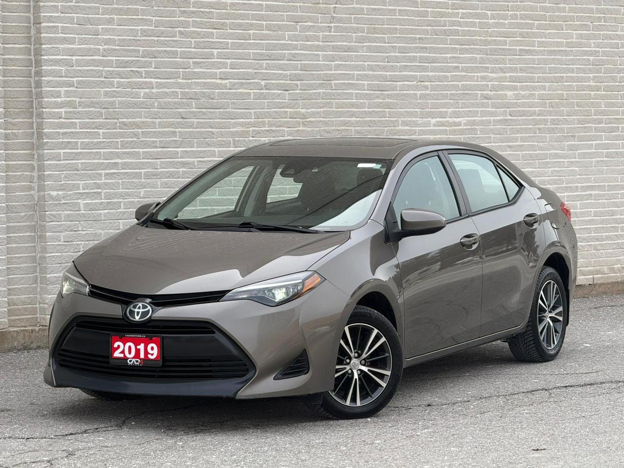 2019 Toyota Corolla LE Photo