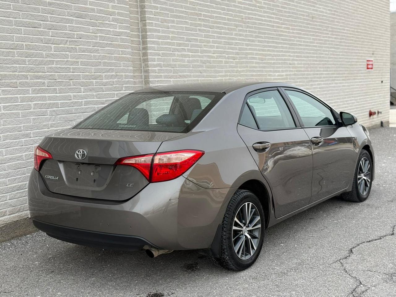 2019 Toyota Corolla LE Photo
