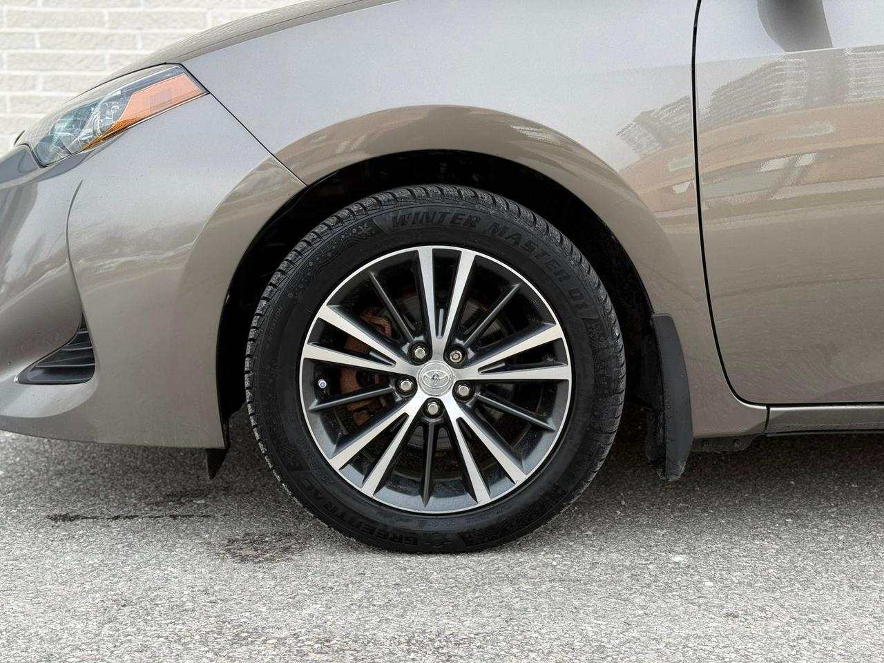 2019 Toyota Corolla LE Photo