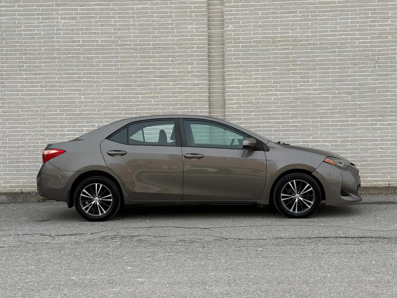 2019 Toyota Corolla LE Photo
