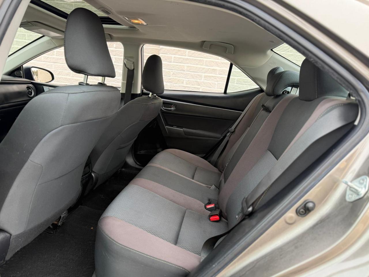 2019 Toyota Corolla LE Photo