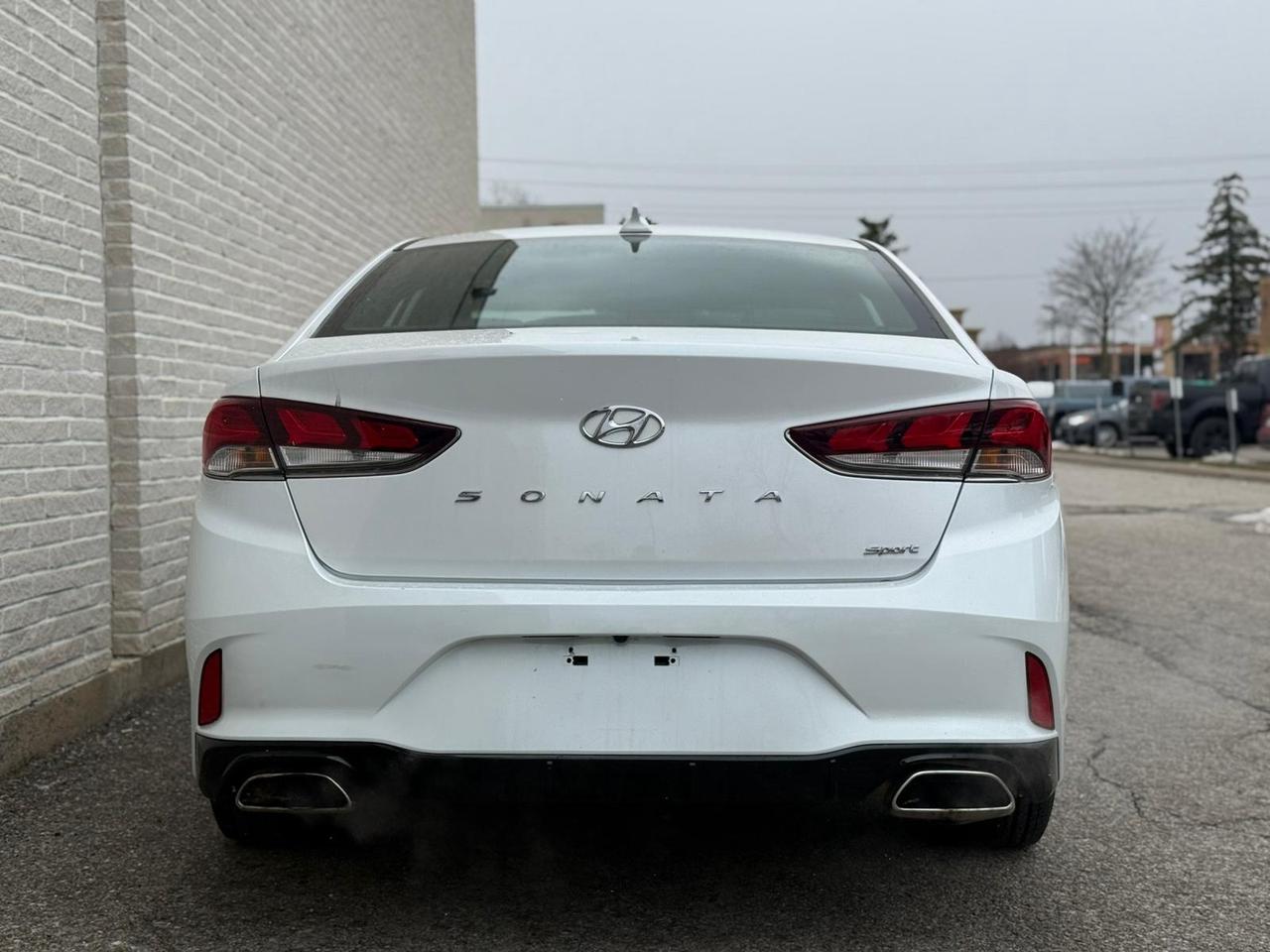 2019 Hyundai Sonata SPORT Photo