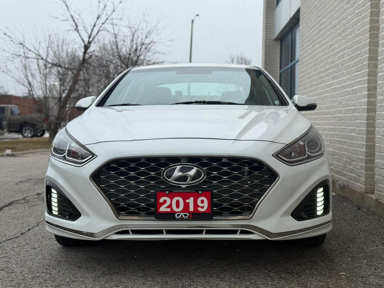 2019 Hyundai Sonata SPORT Photo