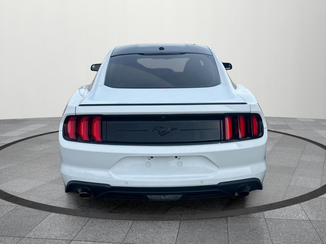 2019 Ford Mustang EcoBoost 2dr Fastback Photo