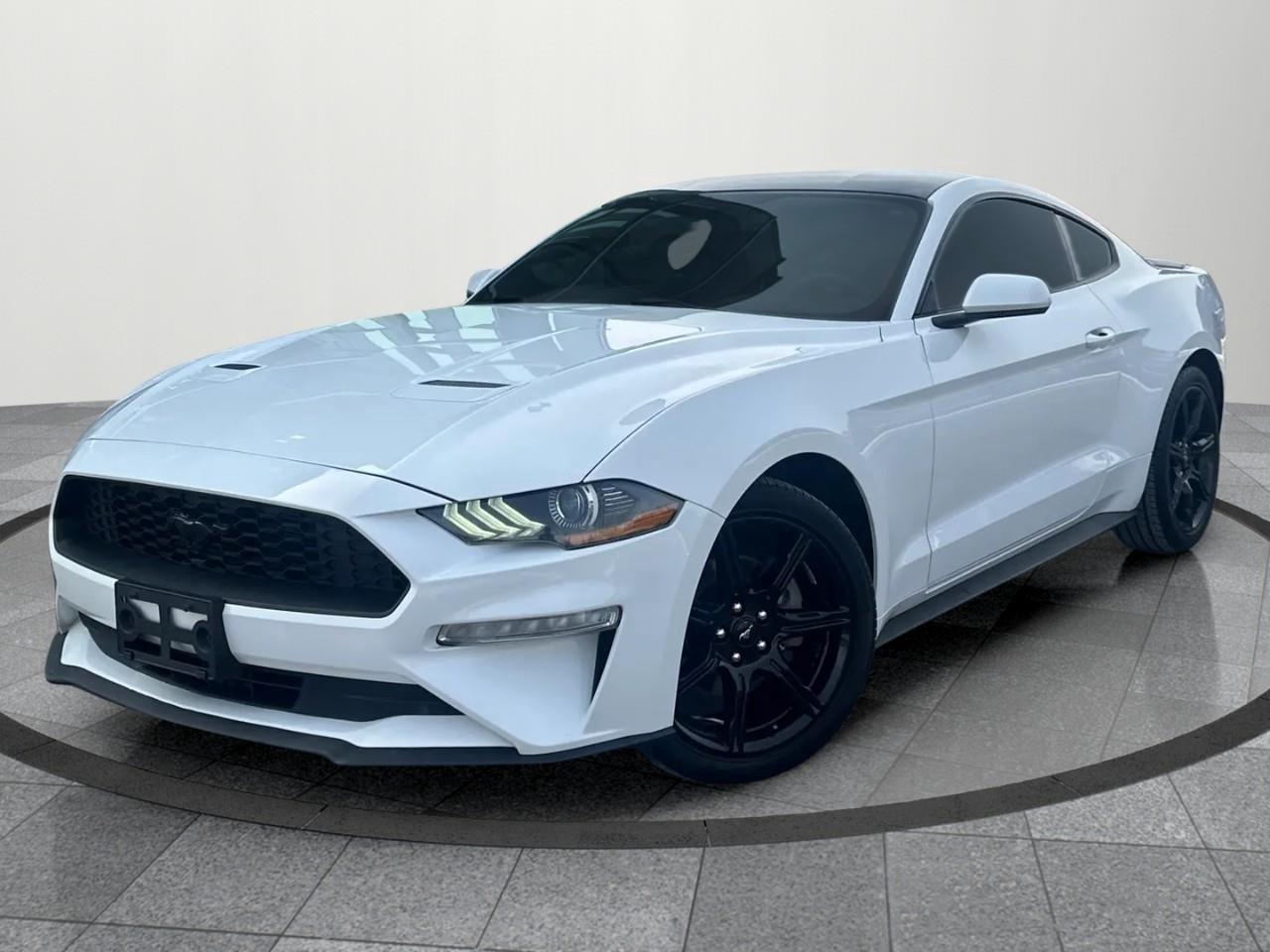 2019 Ford Mustang EcoBoost 2dr Fastback Photo
