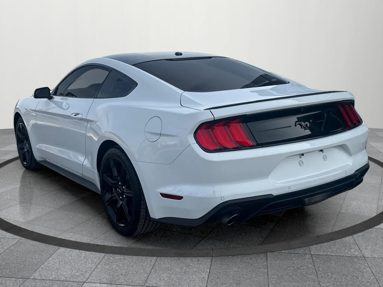 2019 Ford Mustang EcoBoost 2dr Fastback Photo