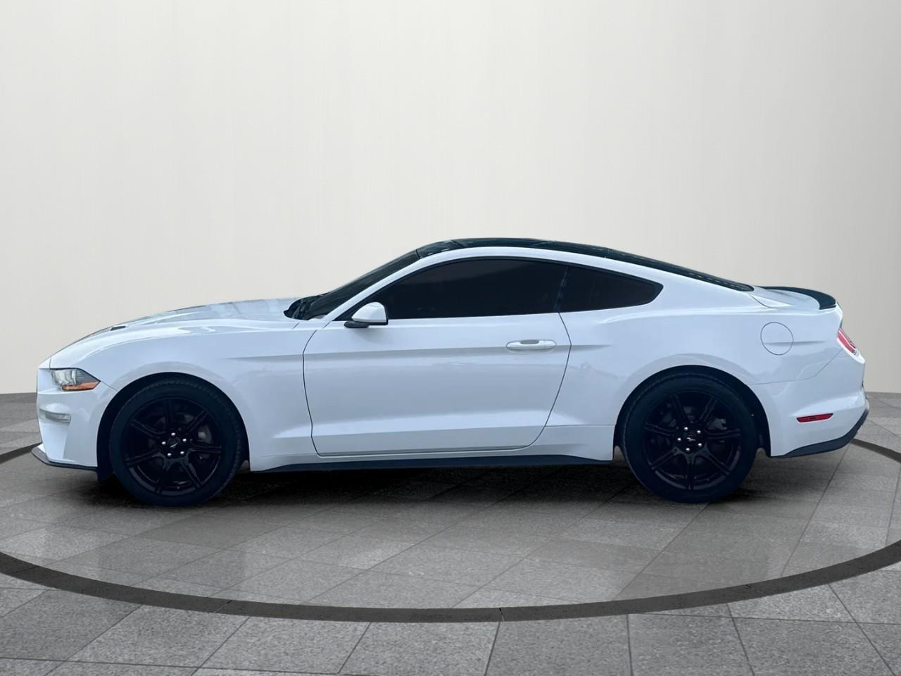 2019 Ford Mustang EcoBoost 2dr Fastback Photo2