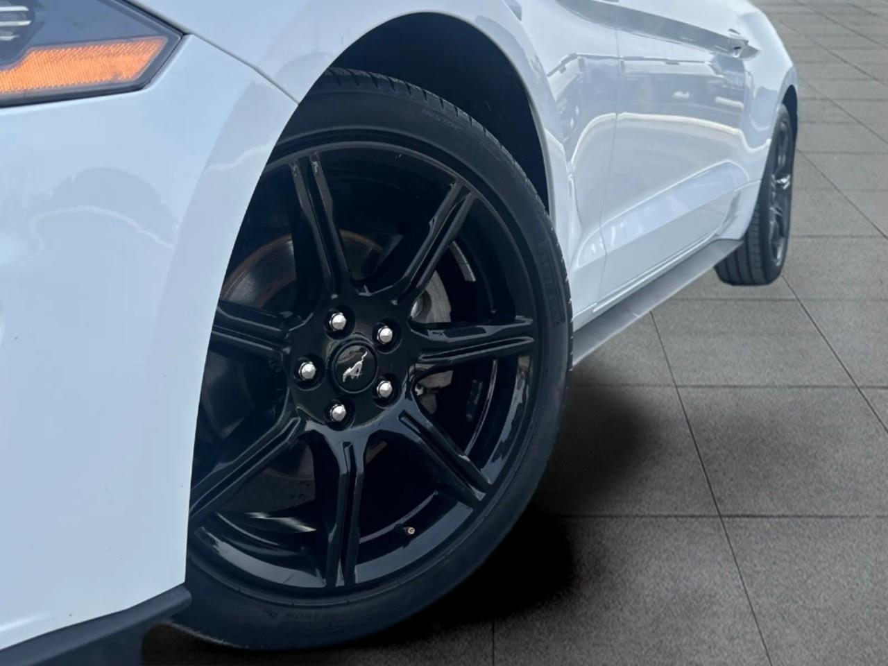 2019 Ford Mustang EcoBoost 2dr Fastback Photo