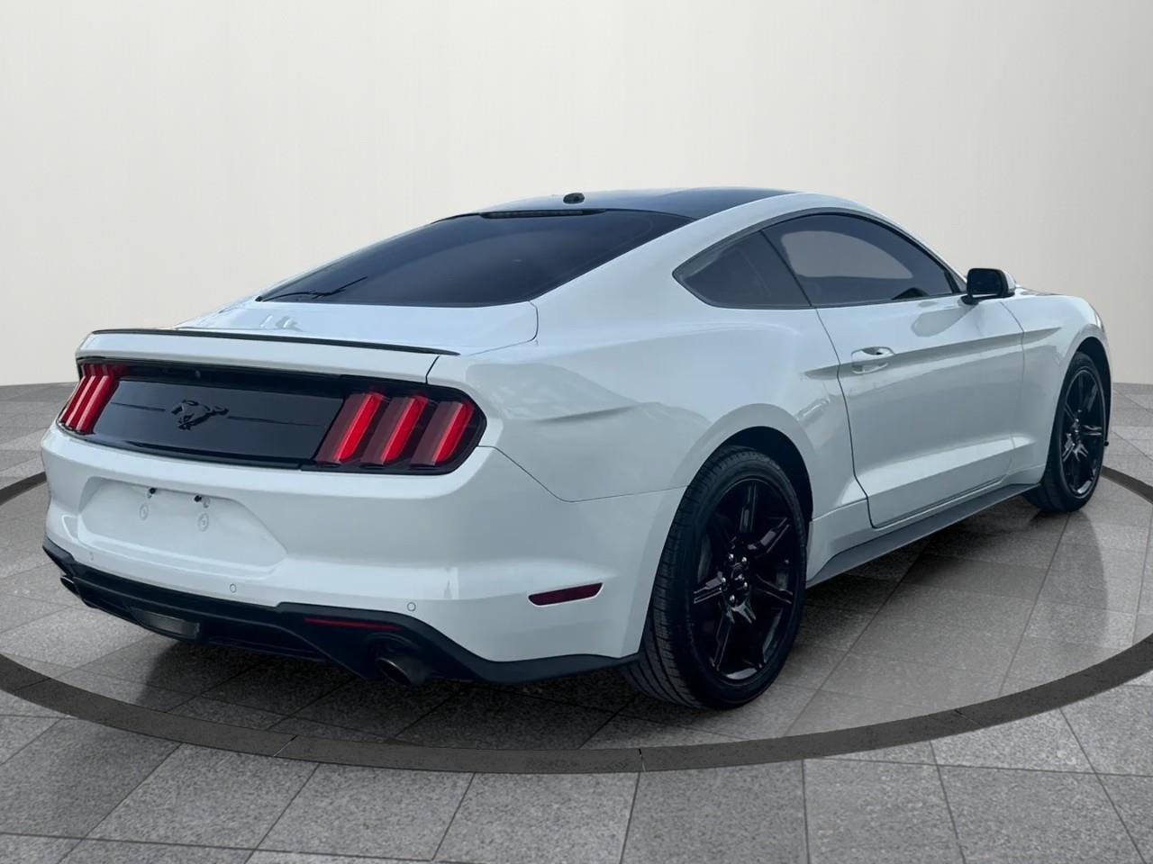 2019 Ford Mustang EcoBoost 2dr Fastback Photo