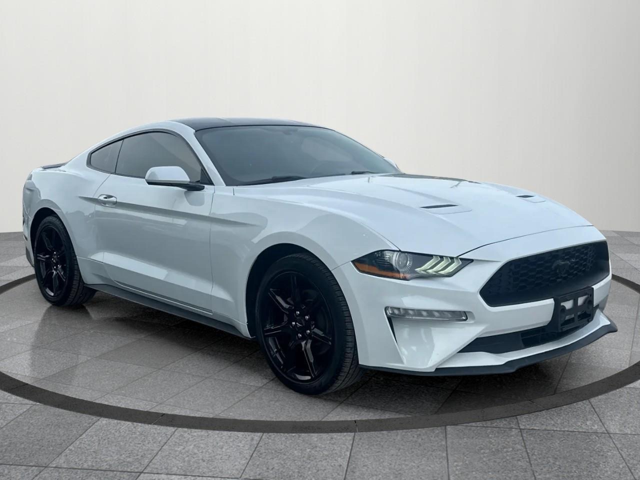 2019 Ford Mustang EcoBoost 2dr Fastback Photo