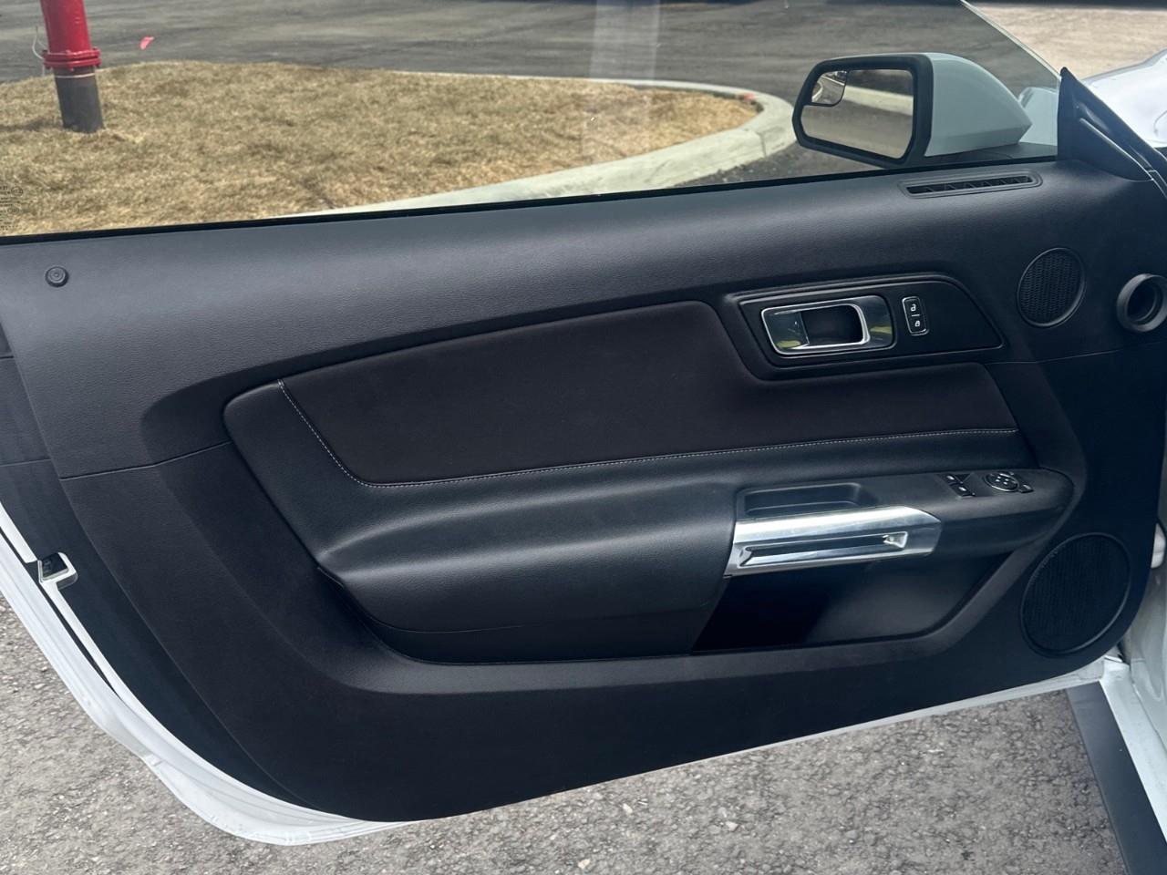 2019 Ford Mustang EcoBoost 2dr Fastback Photo