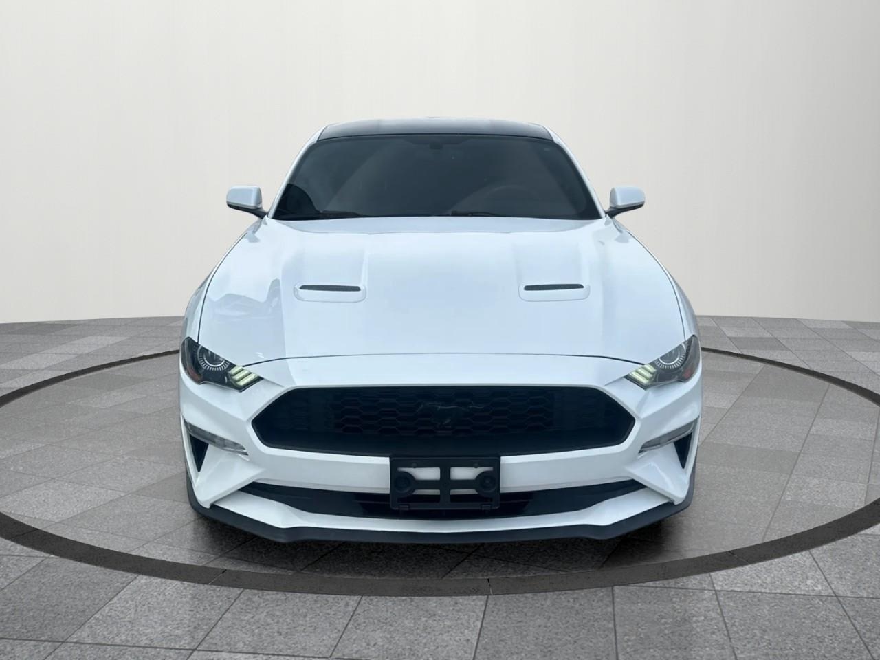 2019 Ford Mustang EcoBoost 2dr Fastback Photo