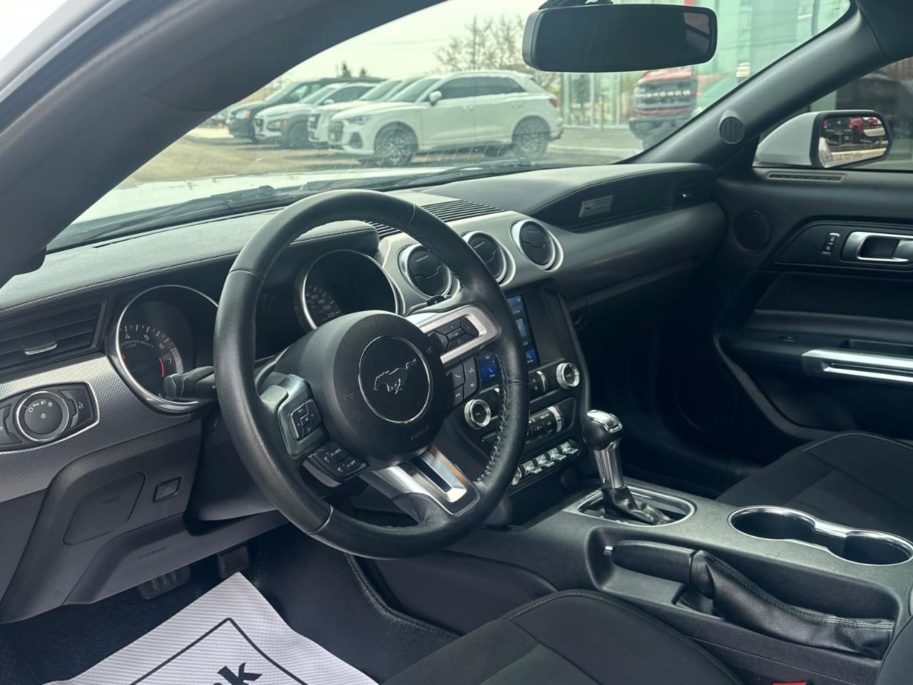 2019 Ford Mustang EcoBoost 2dr Fastback Photo