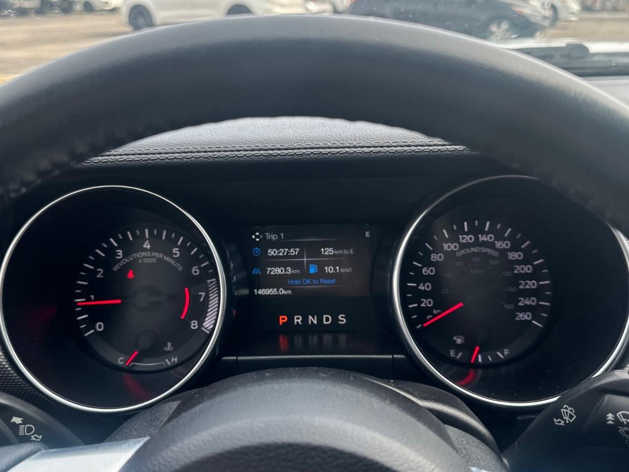 2019 Ford Mustang EcoBoost 2dr Fastback Photo