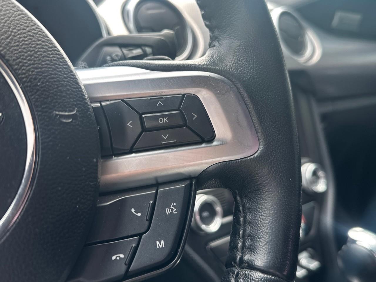 2019 Ford Mustang EcoBoost 2dr Fastback Photo