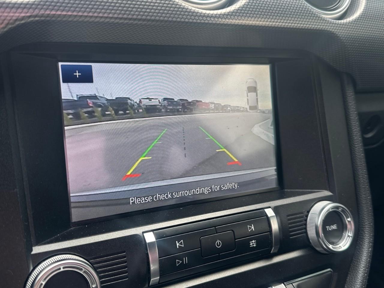 2019 Ford Mustang EcoBoost 2dr Fastback Photo