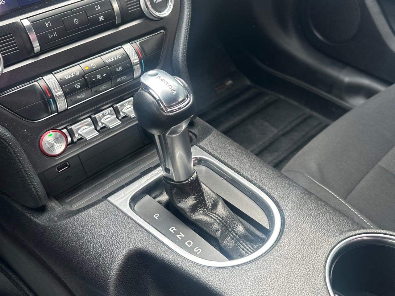 2019 Ford Mustang EcoBoost 2dr Fastback Photo