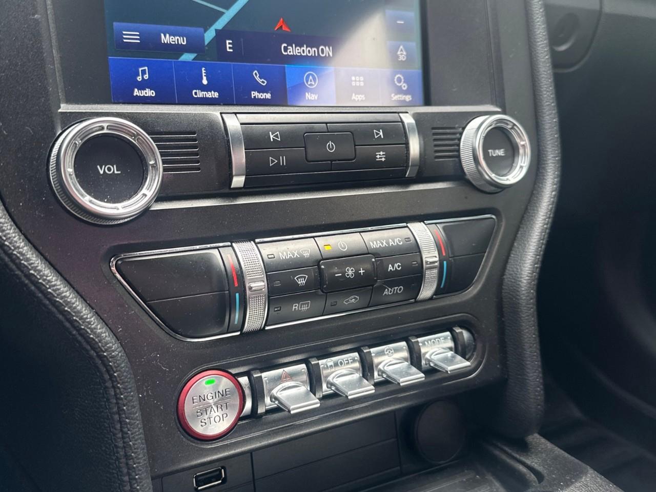 2019 Ford Mustang EcoBoost 2dr Fastback Photo
