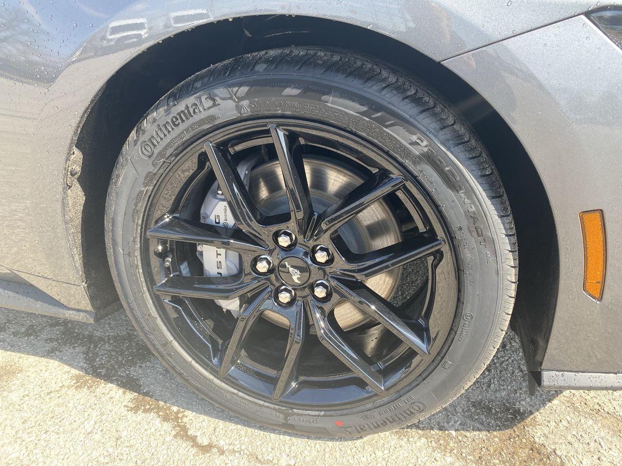 2026 Ford Mustang GT Premium Photo