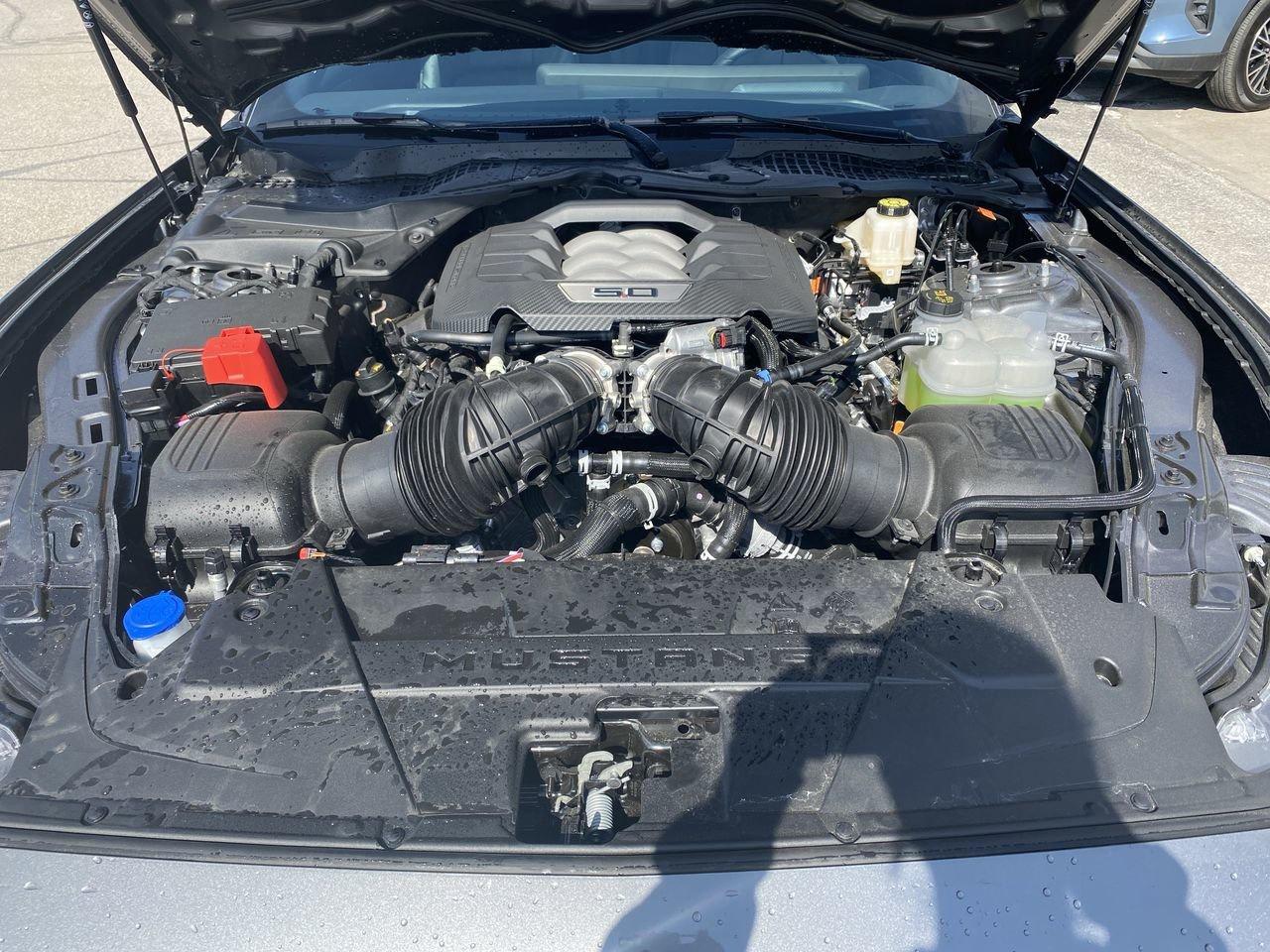 2026 Ford Mustang GT Premium Photo