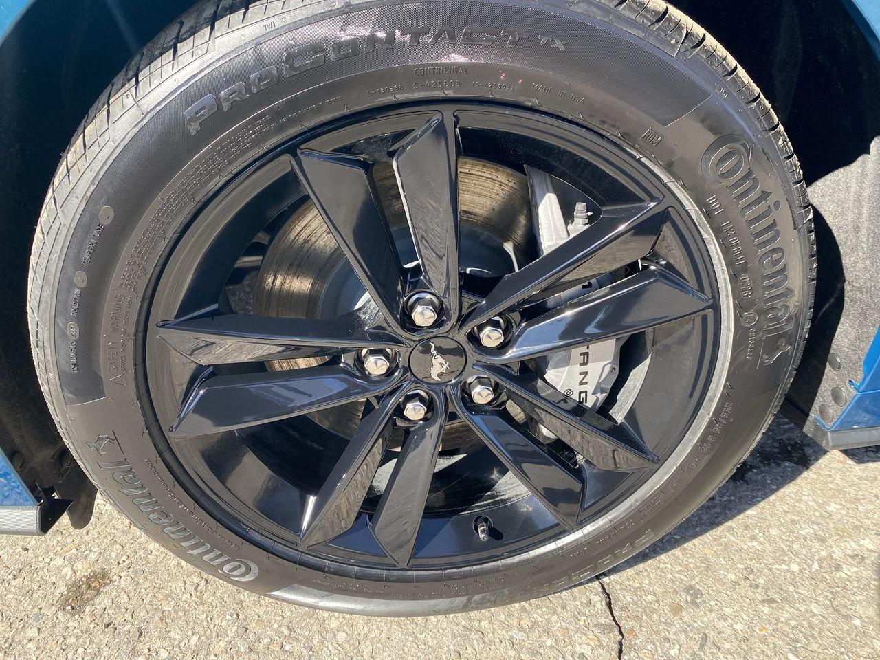 2026 Ford Mustang GT Photo