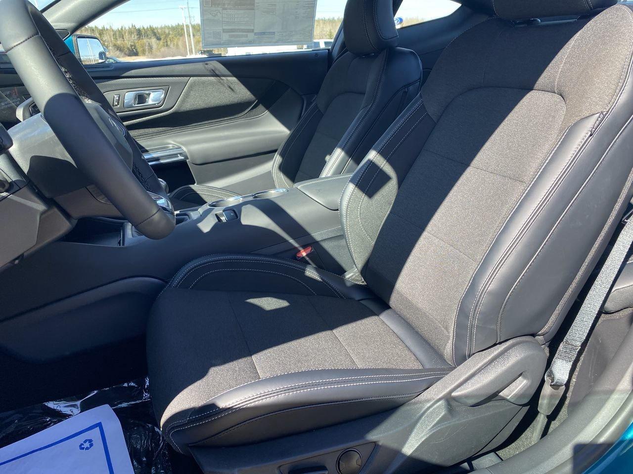 2026 Ford Mustang GT Photo