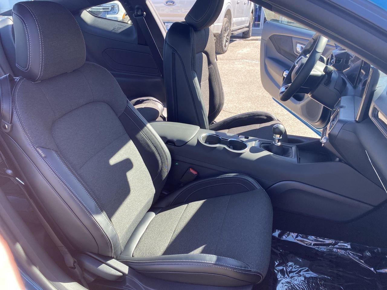 2026 Ford Mustang GT Photo