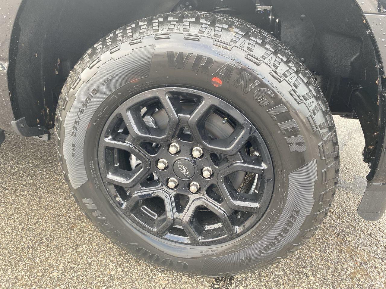 2026 Ford F-150 XLT Photo