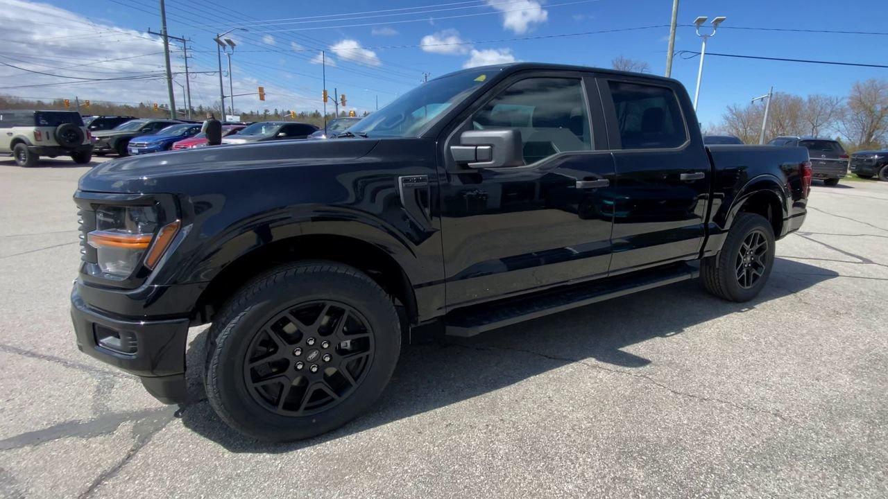 2026 Ford F-150 STX Photo
