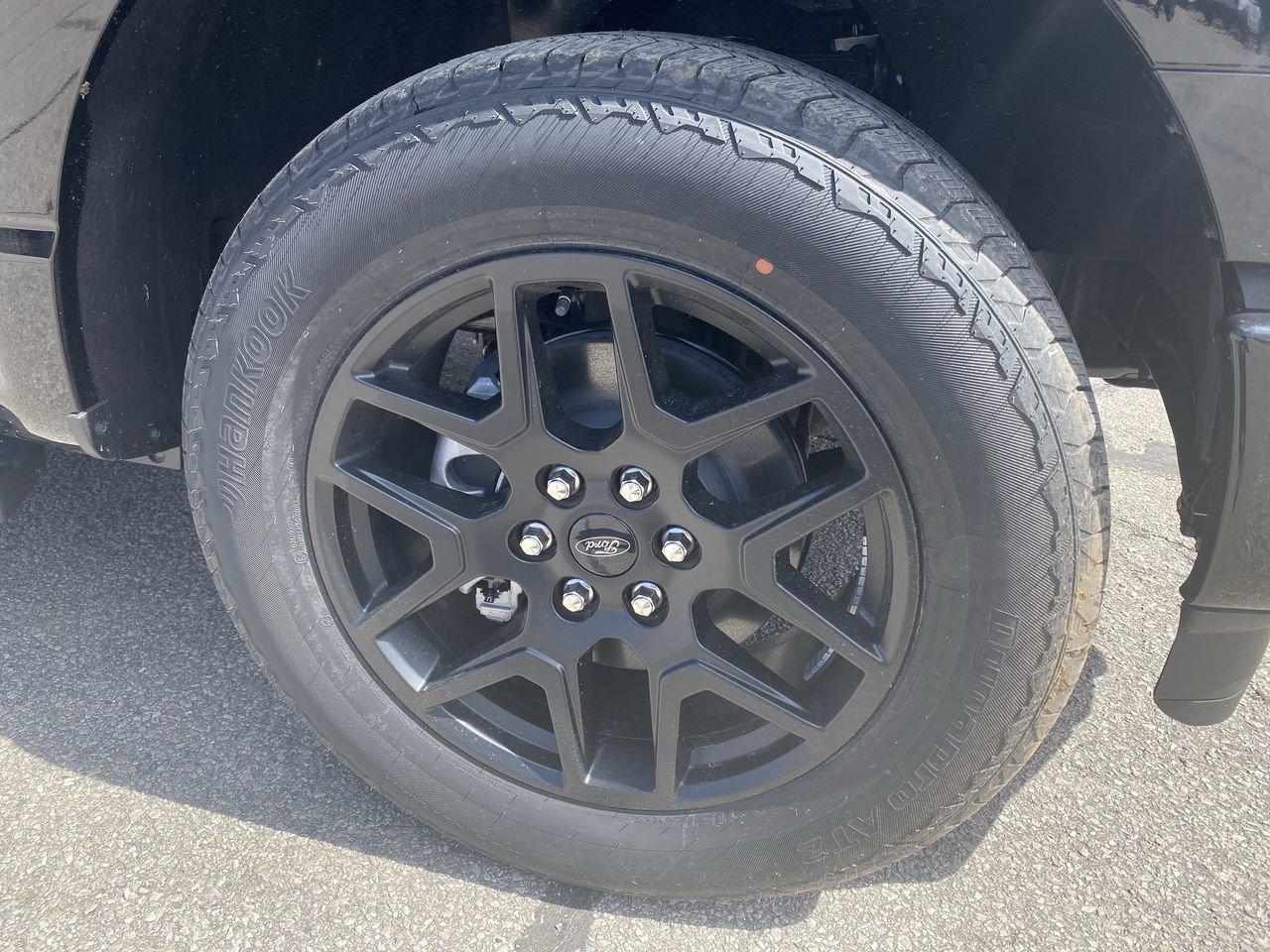 2026 Ford F-150 STX Photo