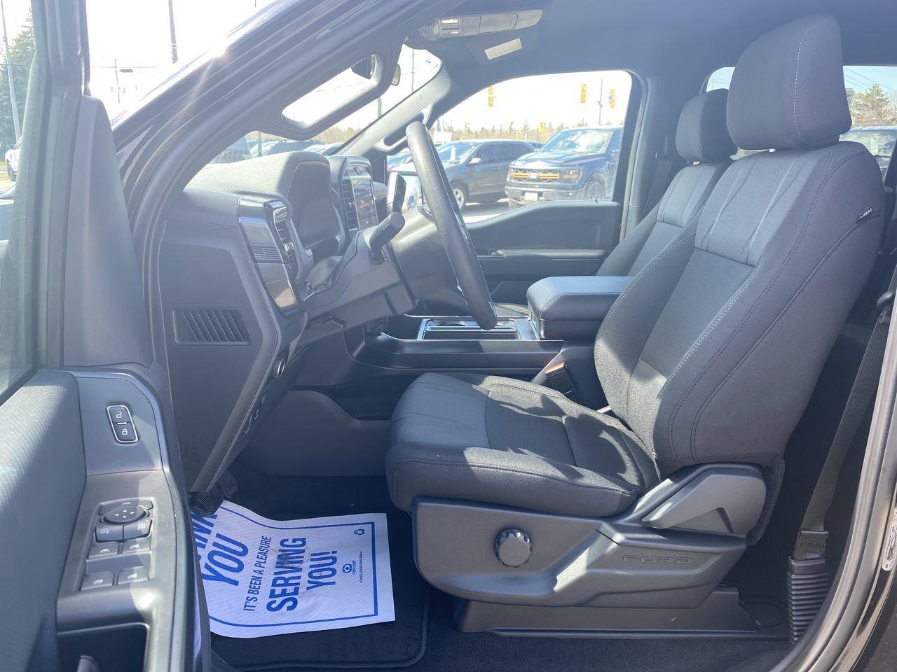 2026 Ford F-150 STX Photo