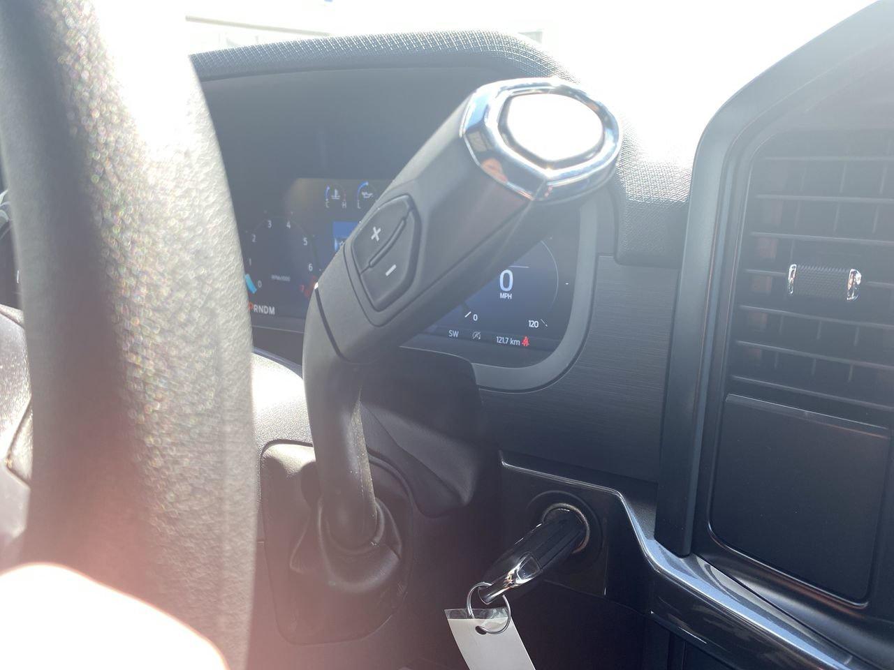 2026 Ford F-150 STX Photo