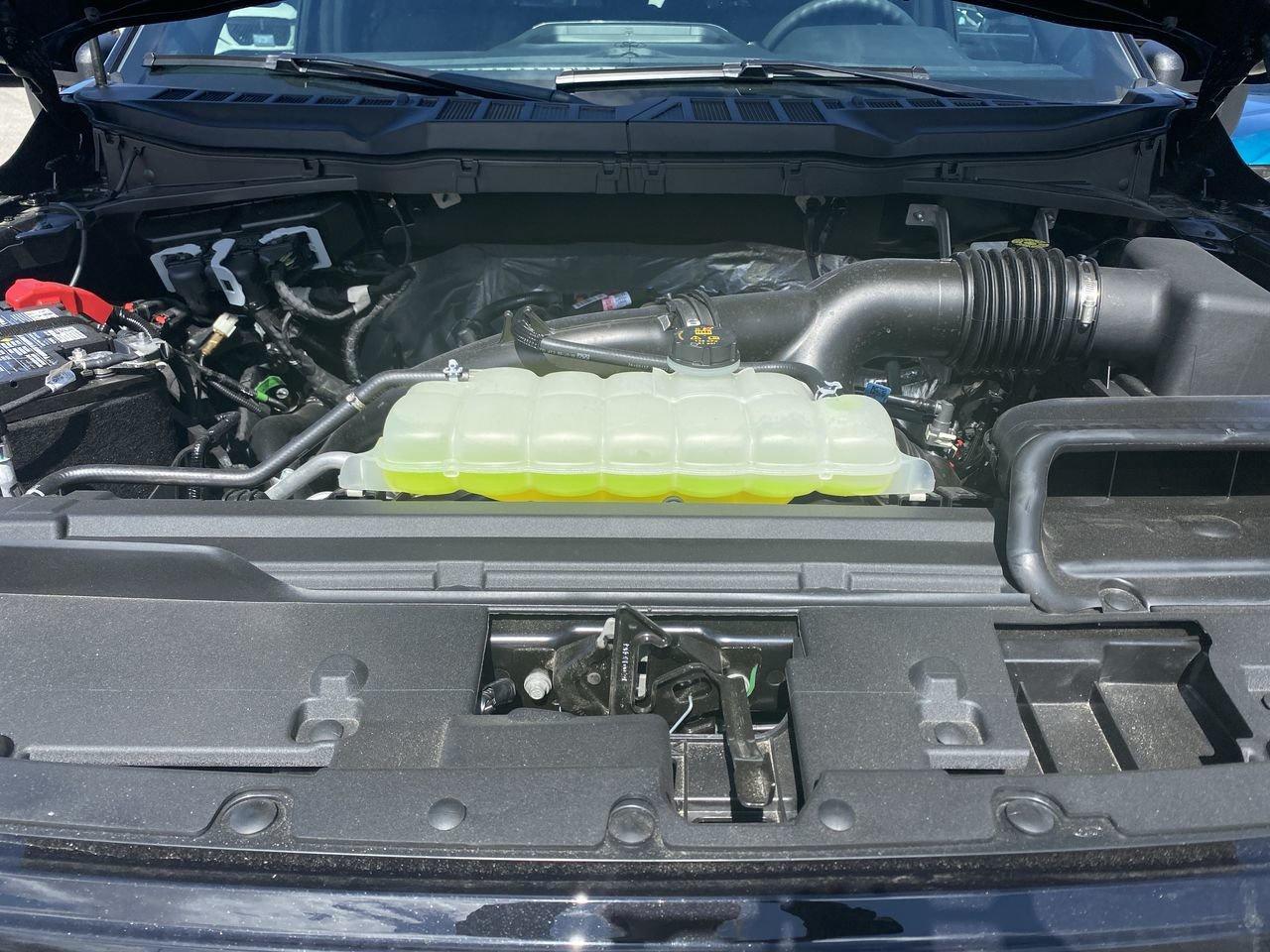 2026 Ford F-150 STX Photo