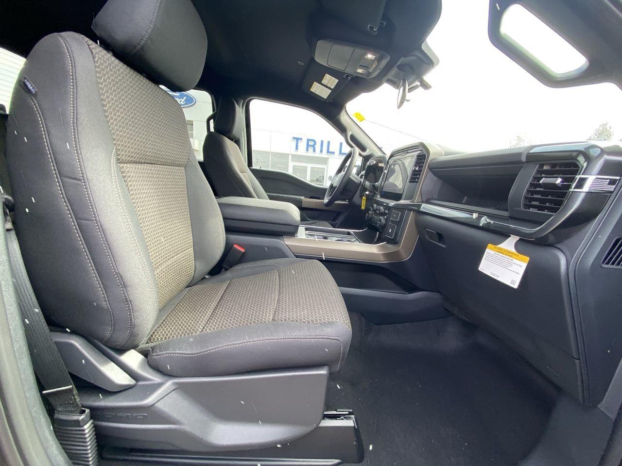 2026 Ford F-150 STX Photo