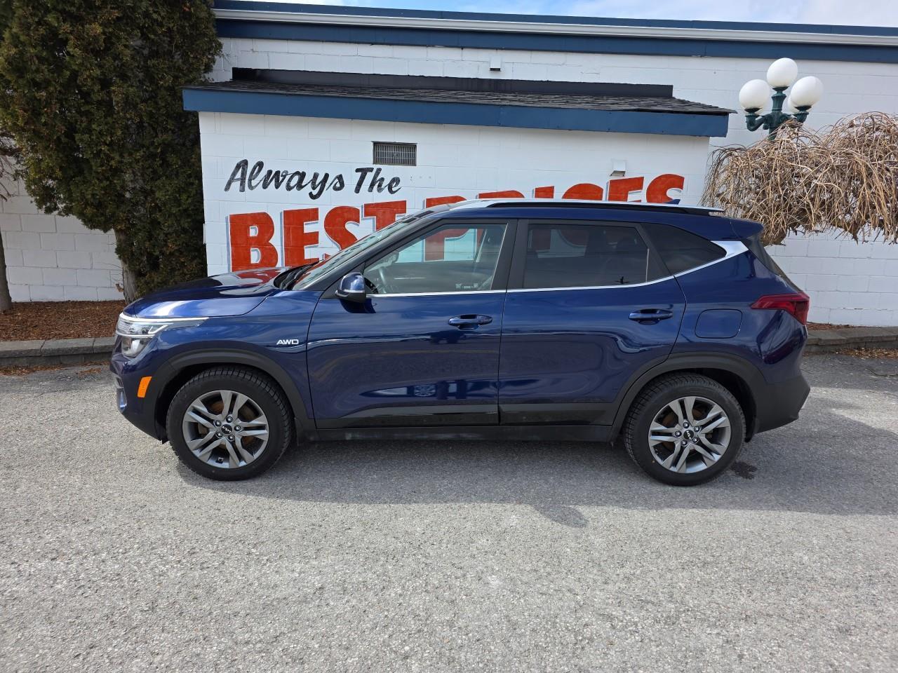 2022 Kia Seltos EX 4dr All-Wheel Drive Photo