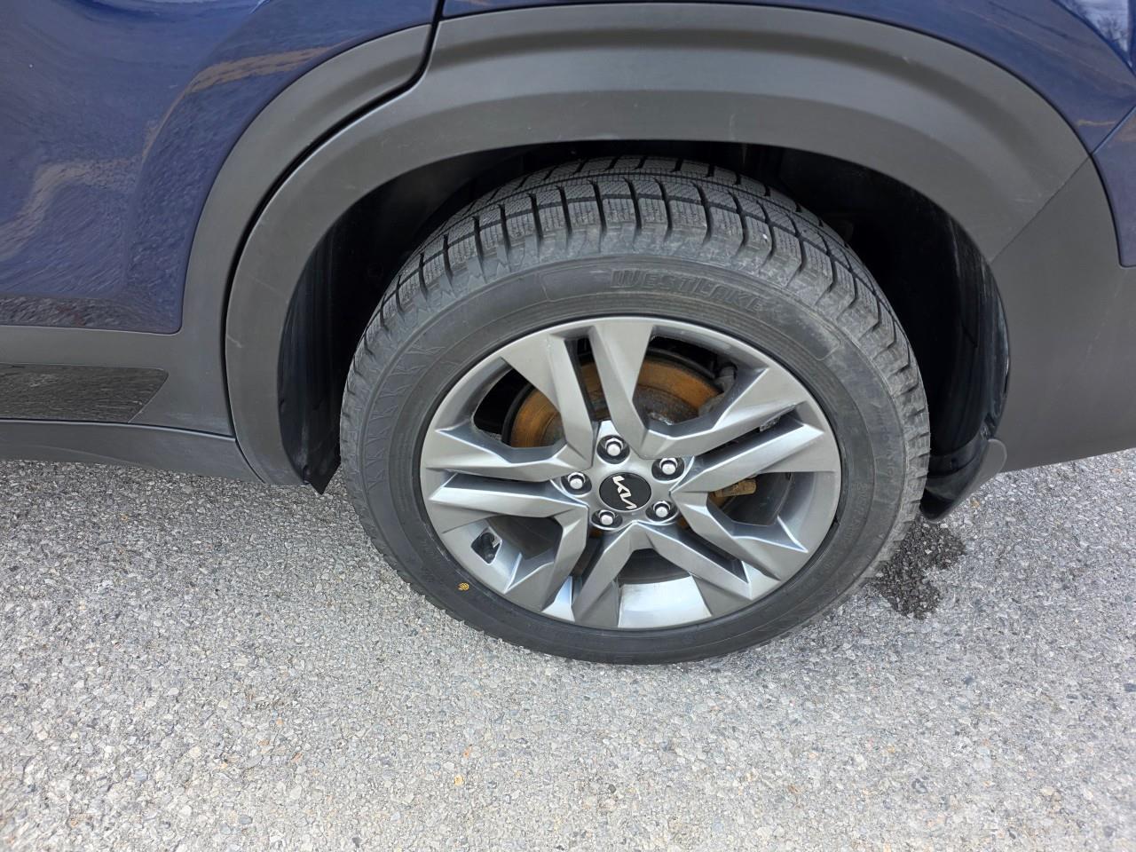 2022 Kia Seltos EX 4dr All-Wheel Drive Photo