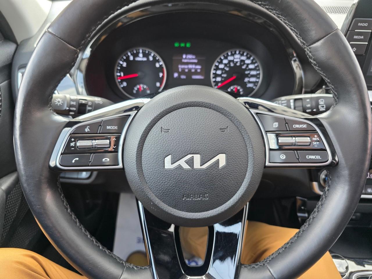 2022 Kia Seltos EX 4dr All-Wheel Drive Photo