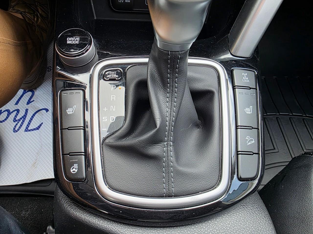 2022 Kia Seltos EX 4dr All-Wheel Drive Photo