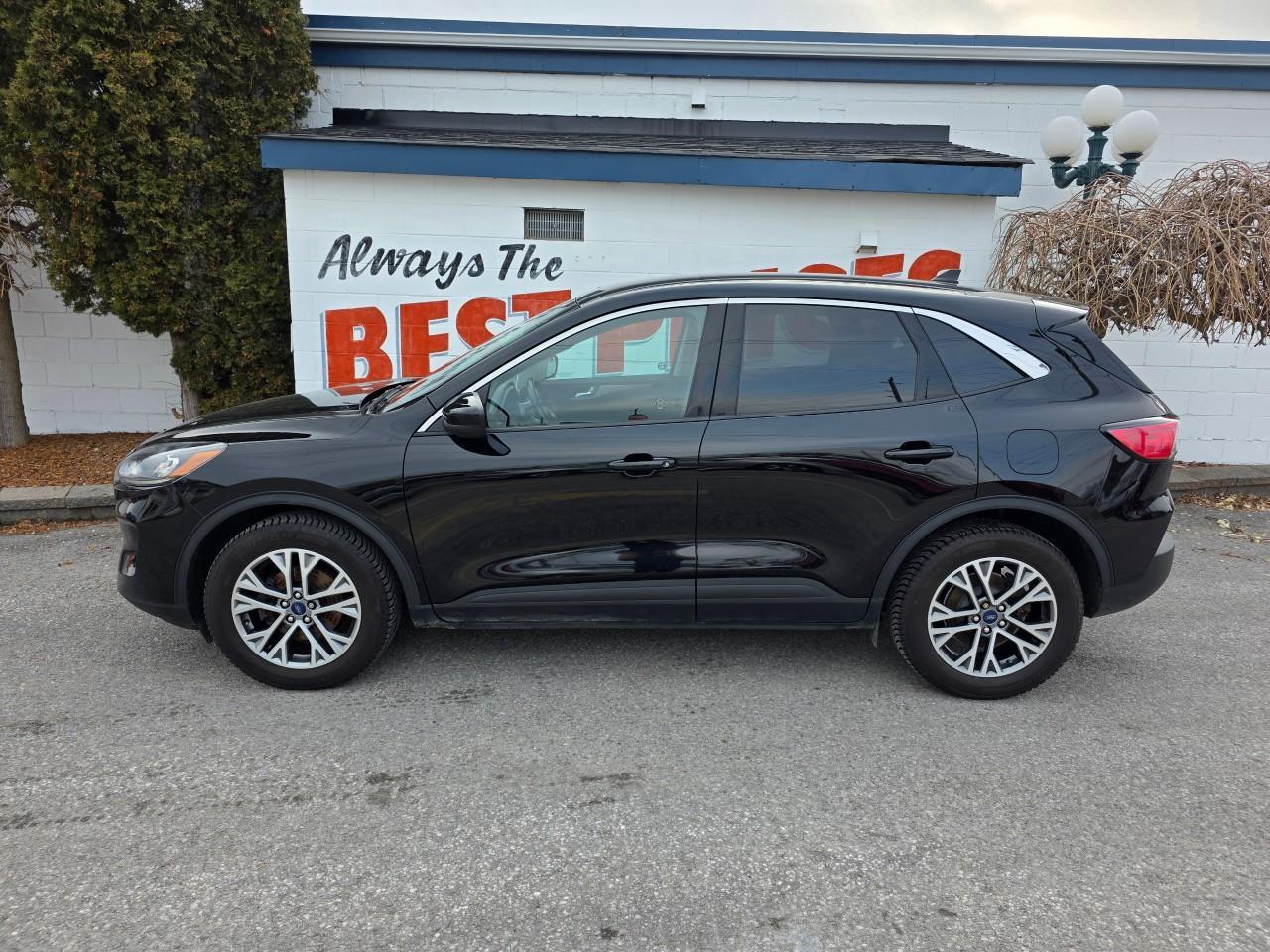 2022 Ford Escape SEL 4dr All-Wheel Drive Photo