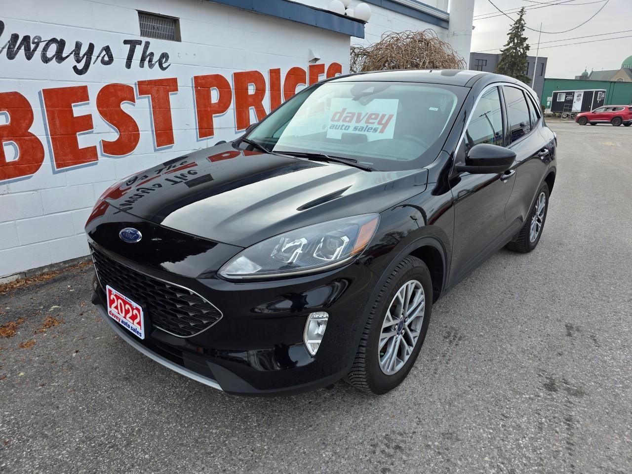 2022 Ford Escape SEL 4dr All-Wheel Drive Photo0