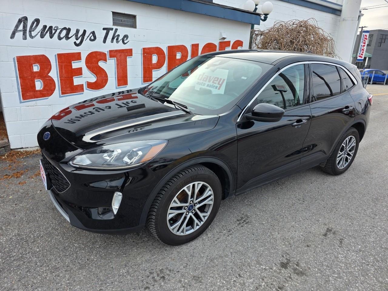 2022 Ford Escape SEL 4dr All-Wheel Drive Photo