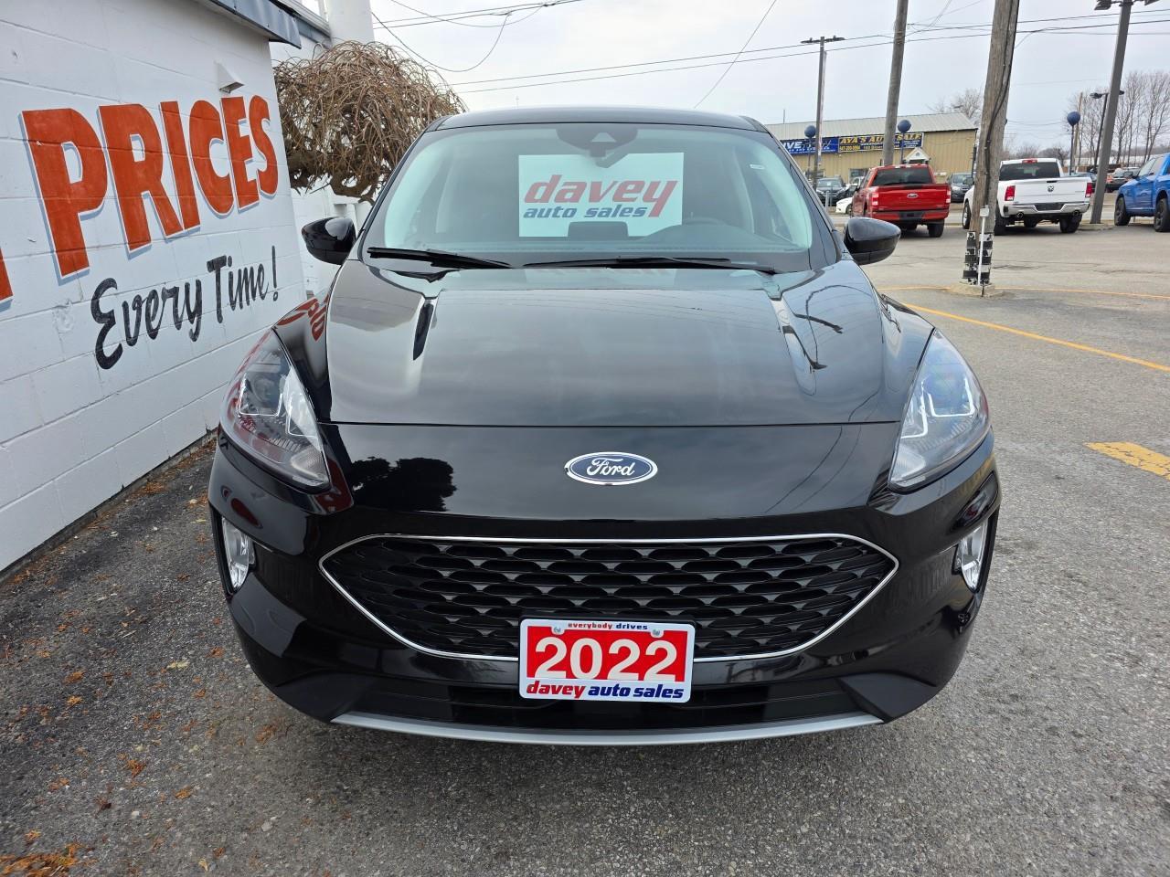 2022 Ford Escape SEL 4dr All-Wheel Drive Photo