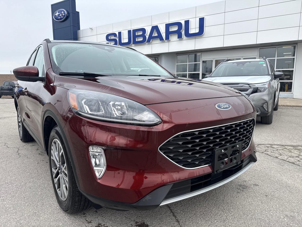 2021 Ford Escape SEL 4dr All-Wheel Drive Photo