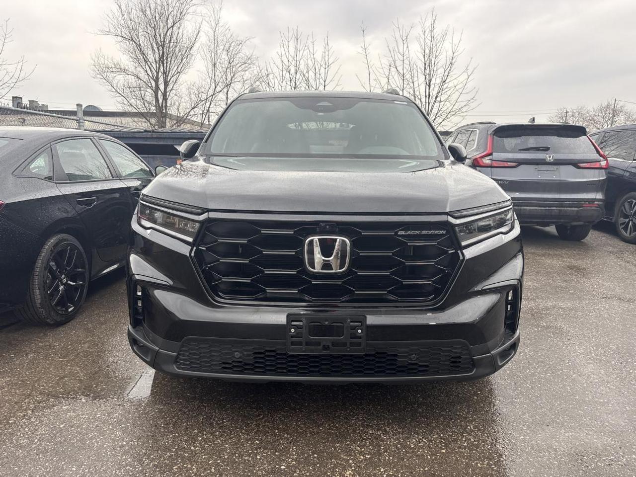 2025 Honda Pilot Black Edition Honda Certified 7YR/160K Warranty Photo