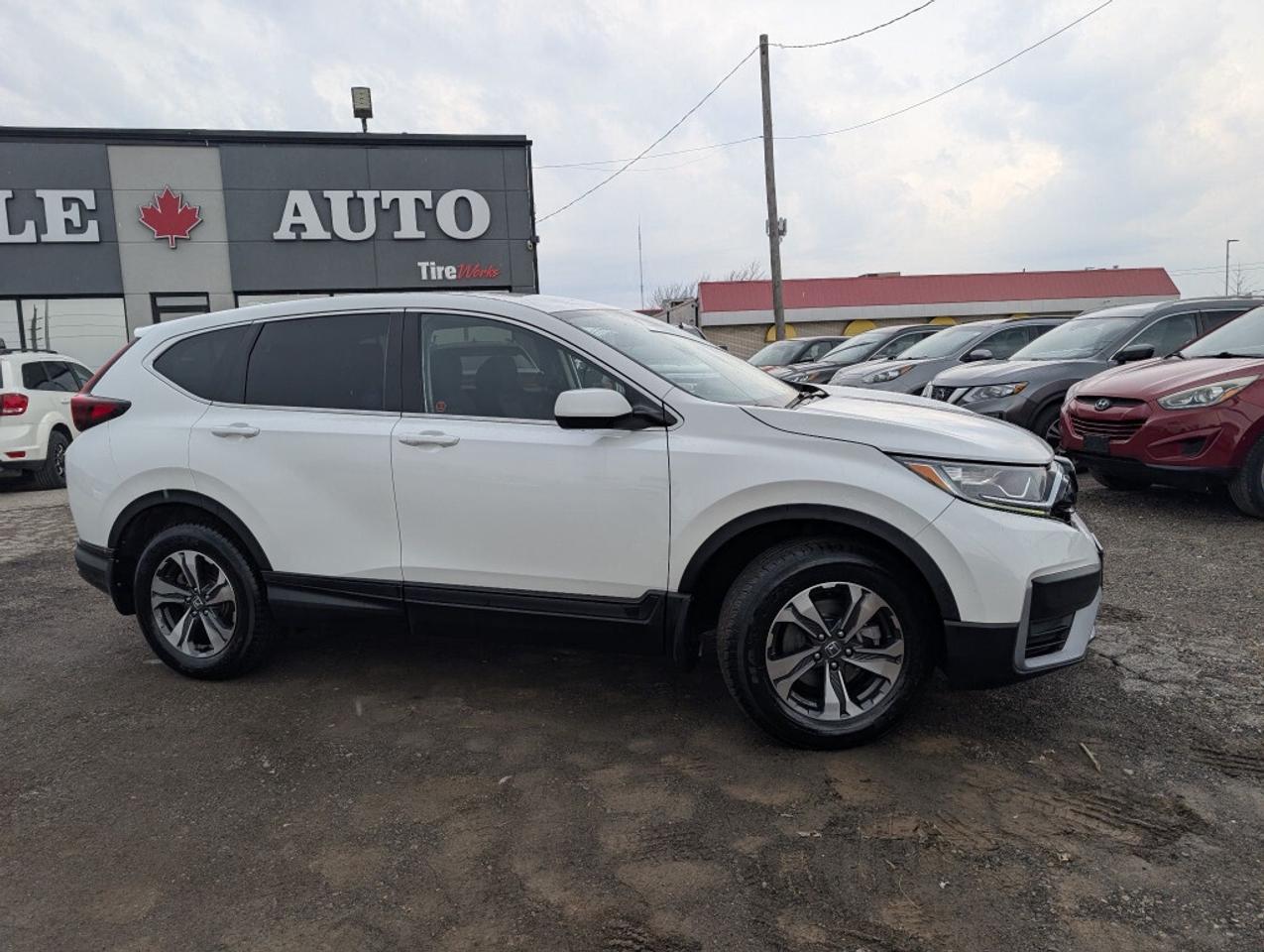 2021 Honda CR-V LX AWD   CAMERA   HTD SEATS Photo4
